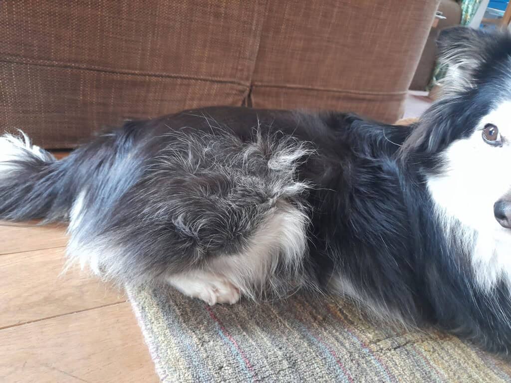 Crazy tufts and swirls